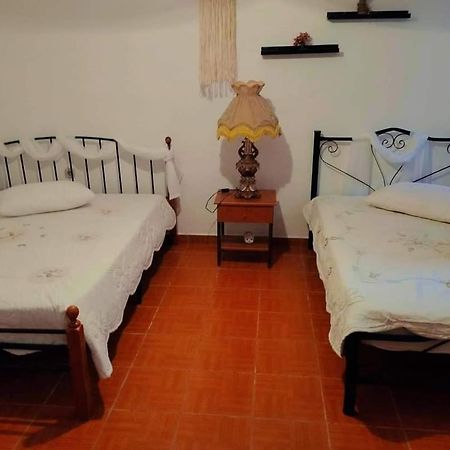 Villa Konstantina Nea Skioni Exteriör bild